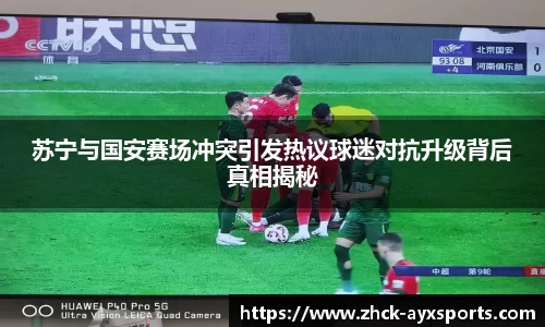 苏宁与国安赛场冲突引发热议球迷对抗升级背后真相揭秘